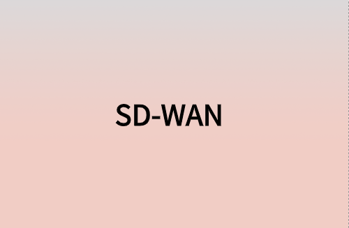 對企業(yè)而言，SD-WAN意味著什么?