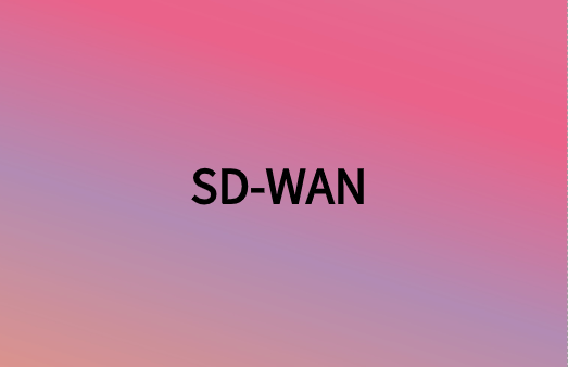 除連接性外，SD-WAN還提供很多網(wǎng)絡(luò)優(yōu)勢